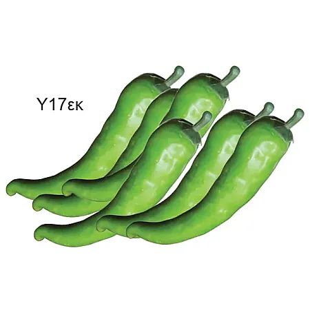 images/uploads/11249/thumb_42680-green.webp