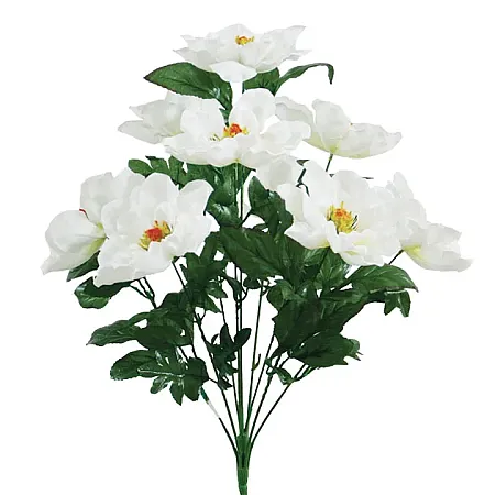 images/uploads/11605/thumb_1677-4.webp