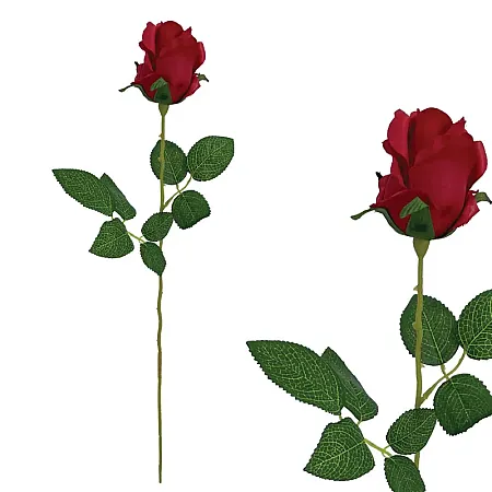 images/uploads/11927/thumb_2388-2.webp