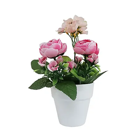images/uploads/12208/thumb_00-00-1-20310-pink.webp