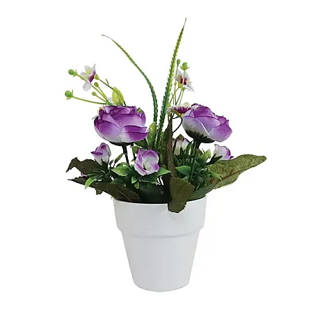 images/uploads/12209/thumb_00-00-1-20310-purple.webp
