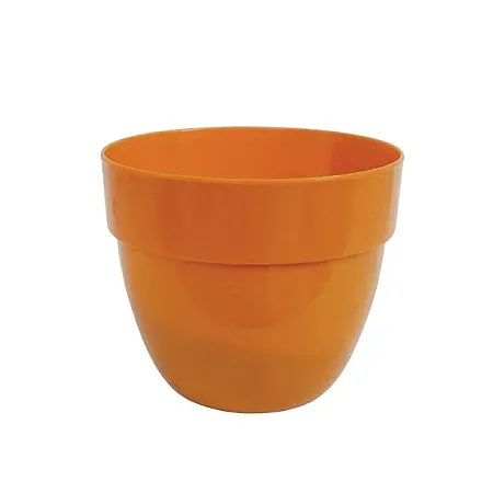 images/uploads/12479/thumb_541_orange.webp