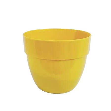 images/uploads/12482/thumb_541_yellow.webp