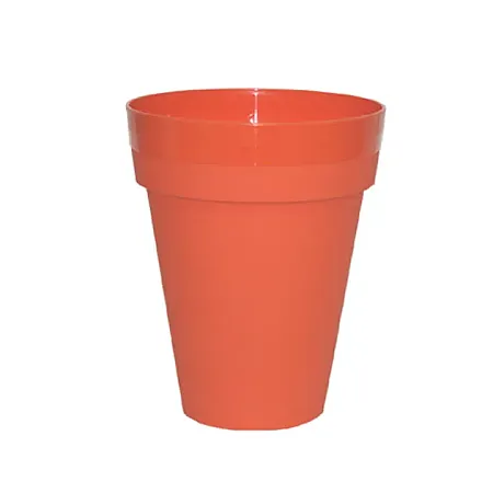 images/uploads/12538/thumb_272_orange.webp