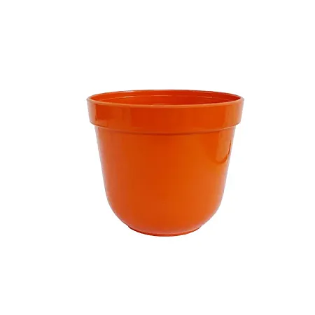 images/uploads/12652/thumb_09-01-FL-13_orange.webp