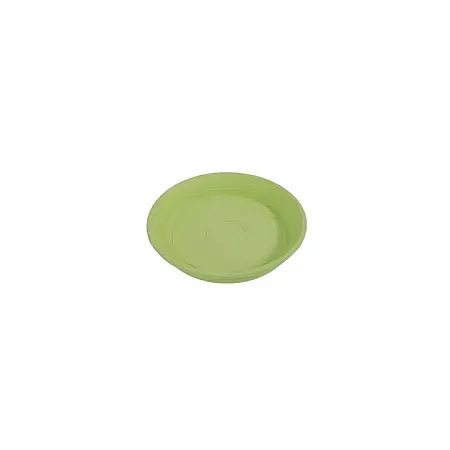 images/uploads/12720/thumb_310_plate_green.webp