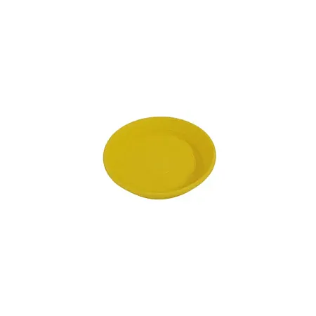 images/uploads/12723/thumb_310_plate_yellow.webp