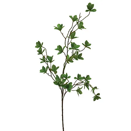 ΠΡΑΣΙΝΟ ΚΛΑΔΙ ΦΥΛΑΡΑΚΙΑ Y110cm. 24/120KIB