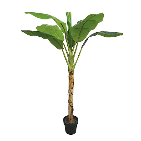 images/uploads/16001/thumb_18720.webp