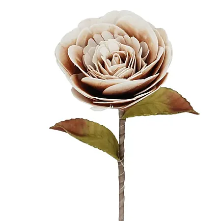 images/uploads/16097/thumb_6081-3.webp