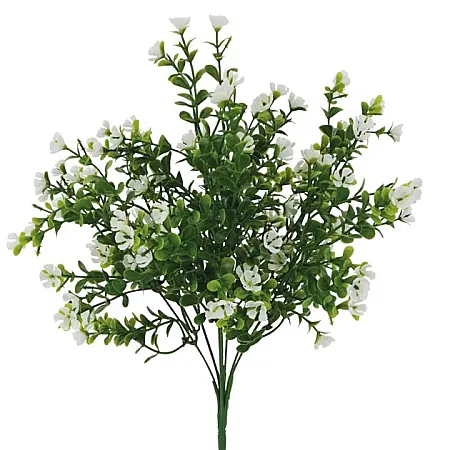 images/uploads/16245/thumb_1632-1.webp