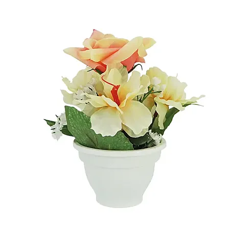images/uploads/16835/thumb_00-00-1-1-F.webp