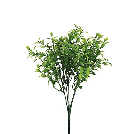 images/uploads/17960/thumb_20415.webp