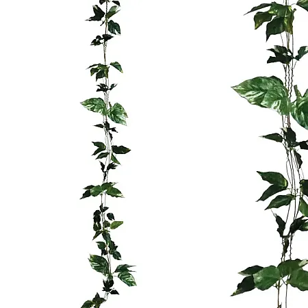 ΓΙΡΛΑΝΤΑ ΠΟΘΟΣ ΔΙΧΡΩΜΟΣ X3 - Υ270cm 1/132ΚΙΒ