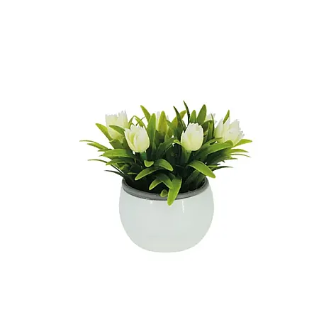 images/uploads/18713/thumb_19318_Cream.webp