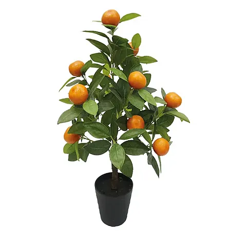 images/uploads/19289/thumb_04-00-18826.webp