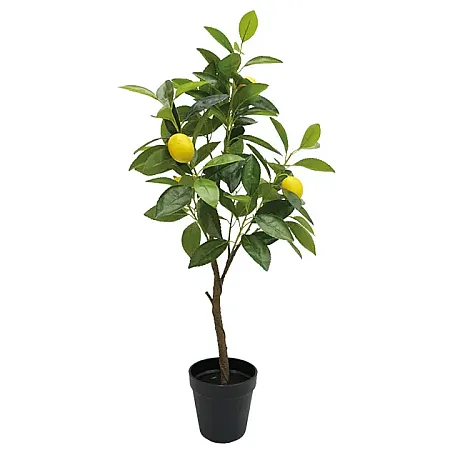 images/uploads/19290/thumb_04-00-18827.webp
