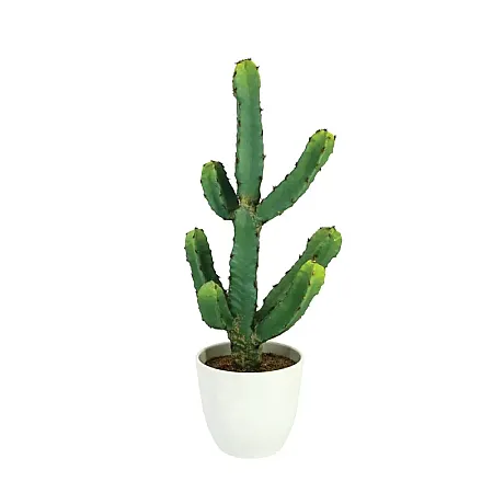 images/uploads/23154/thumb_22096.webp