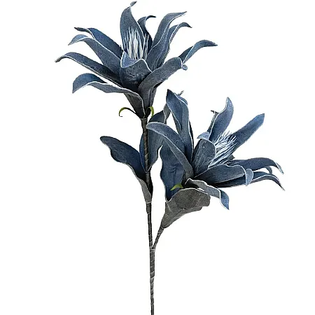 ΚΛΑΔΙ FOAM ΑΝΘΗ ΓΚΟΥΣΜΑΝΙΑ x2 ΜΠΛΕ - 15x95cm 8/24ΚΙΒ