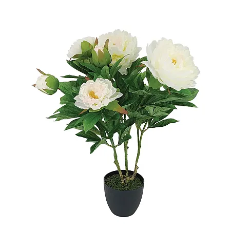 images/uploads/24531/thumb_24172.webp