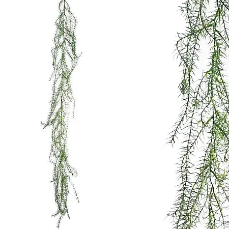 ΓΙΡΛΑΝΤΑ ΜΑΡΑΘΟΣ 60x150cm 36/144ΚΙΒ