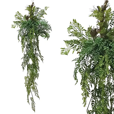 ΡΙΖΑ ΚΡΕΜΑΣΤΗ ΦΤΕΡΗ ΣΕ ΚΟΡΜΟ ΜΕ ΒΡΥΑ - Υ165cm 8/KIB