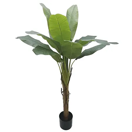 ΔΕΝΤΡΟ ΜΠΑΝΑΝΙΑ ΜΟΝΗ REAL TOUCH ΣΕ ΓΛΑΣΤΡΑ - Υ155cm 4/ΚΙΒ.