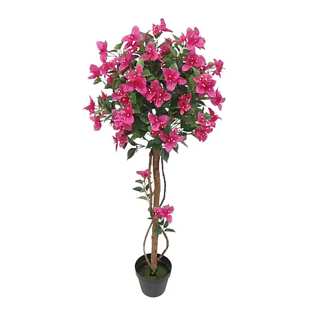 images/uploads/25081/thumb_24188.webp