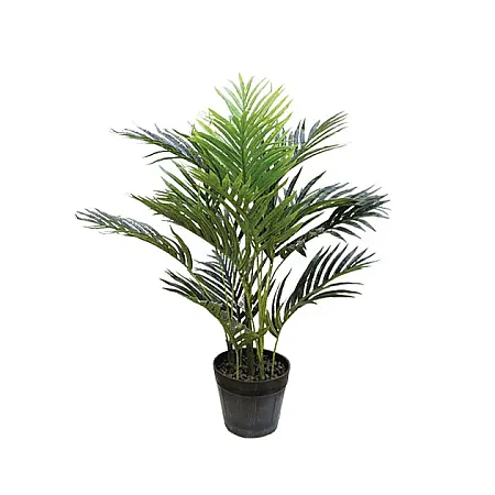 images/uploads/25106/thumb_18730.webp