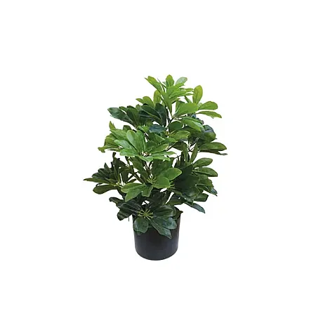images/uploads/25115/thumb_18713.webp