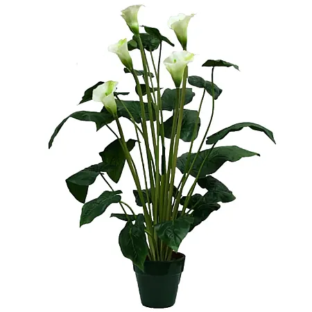 images/uploads/2530/thumb_77068.webp