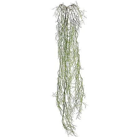 ΡΙΖΑ ΚΡΕΜΑΣΤΗ ΑΕΡΟΦΥΤΟ ΠΡΑΣΙΝΟ - Y138cm 36/144ΚΙΒ
