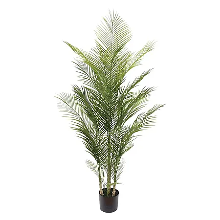 ΔΕΝΤΡΟ ΦΟΙΝΙΚΑΣ PALM ΠΡΑΣΙΝΟ ΣΕ ΓΛΑΣΤΡΑ - Υ175cm 2/KIB