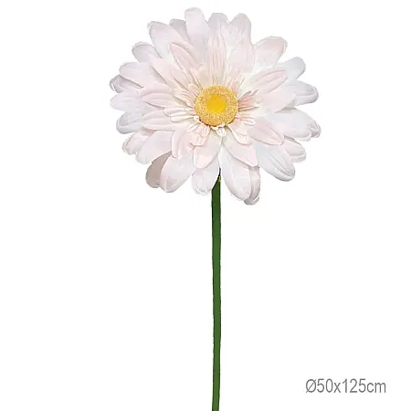 ΚΛΑΔΙ ΜΑΡΓΑΡΙΤΑ ΣΟΜΟΝ ΓΙΓΑΣ - Φ50x125cm 24/ΚΙΒ
