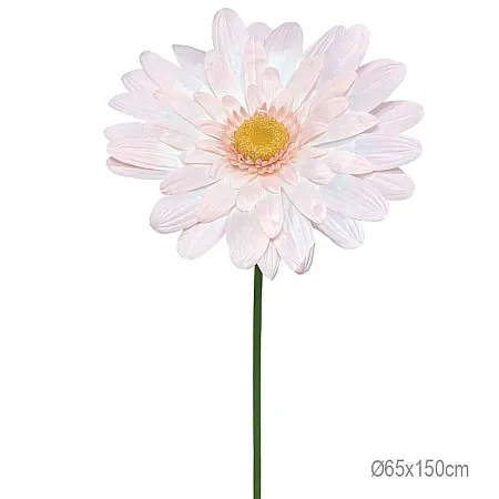 ΚΛΑΔΙ ΜΑΡΓΑΡΙΤΑ ΣΟΜΟΝ ΓΙΓΑΣ XXL - 65x65x150cm 12/ΚΙΒ