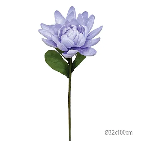 images/uploads/26747/thumb_23856-30-3.webp