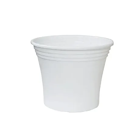 images/uploads/4192/thumb_251_white.webp