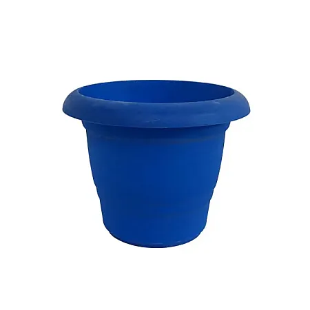 images/uploads/9172/thumb_AFRI50_blue.webp